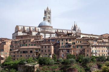Fototapeta premium Historic centre of Siena, Italy