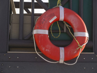 Life preserver