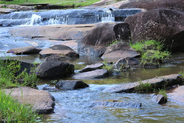 Guyane - Saül - Juillet 2014