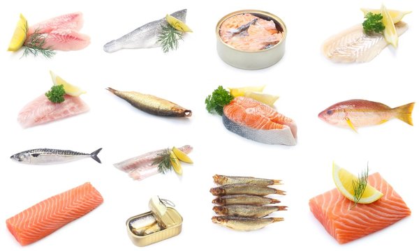 Collage Fisch