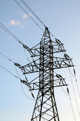 Birds sitting on an electrical tower