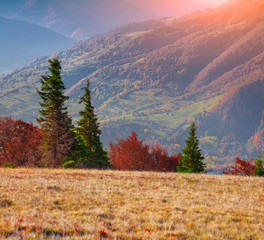 Colorful autumn landscape in the mountains
