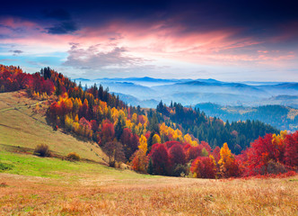 Plakaty  Colorful autumn morning in the mountains