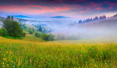 Fototapeta na wymiar Foggy summer morning in the mountains.