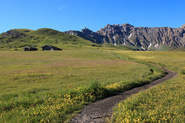 Obraz premium sentiero sull'Alpe di Siusi
