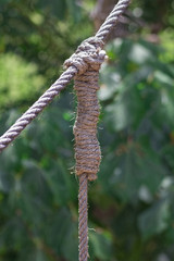 knots in a thick rope