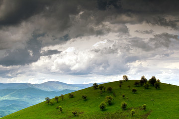 Obraz premium Hill with trees
