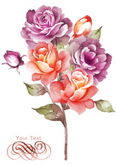 watercolor illustration flower bouquet in simple background  - 68711005