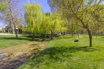 green meadow with trees and a creek one day in sun