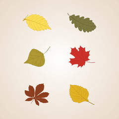 Autumn leaves set vector background