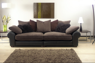 sofa in modern living room with rug