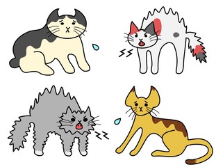 怒る猫たち、怯える猫たち