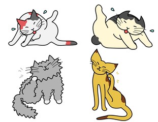 毛づくろいする猫たち