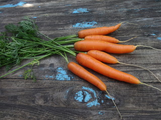 carrots on wood