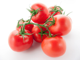 Strauchtomaten