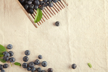 Plenty Sweet Blue Berries on Table