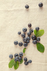 Fresh Blue Berries Isolated Off White Cloth