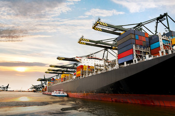 Cargo sea port. Sea cargo cranes.