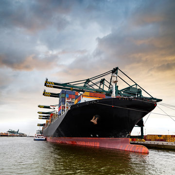 Cargo sea port. Sea cargo cranes.