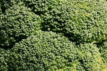 green broccoli macro texture