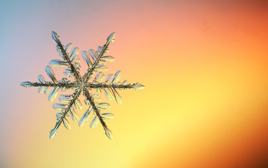 macro snowflake ice crystals present natural
