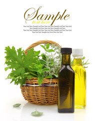Fresh herbs in wicker basket, essential oils and herbal essences