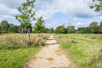 Fototapeta na wymiar Footpath through nature during summer