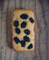 Sponge cake with wild berries on top