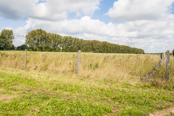 Fenced Farmland
