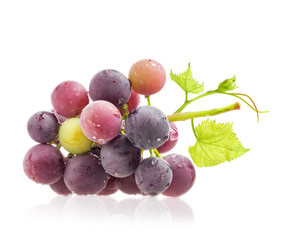 Dark grapes Isolated on white background