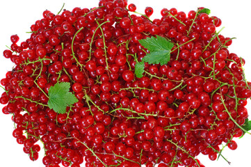 Ripe red currant close-up as background