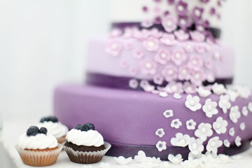 Wedding sweets, blueberry cake