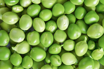 Garden Peas