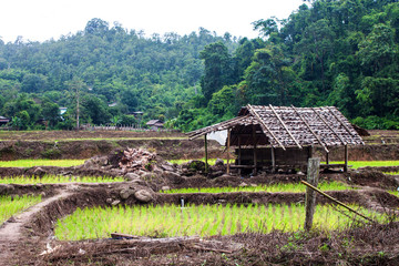 Fototapeta na wymiar Village in northern Thailand