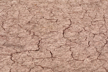 cracked soil