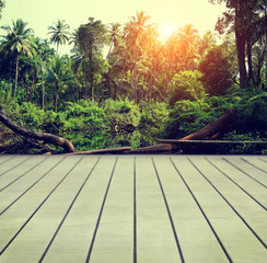View of a tropical forest with wooden deck