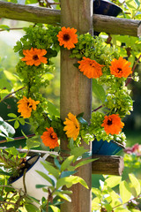 Herz aus Ringelblumen