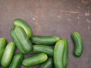 cucumber wood