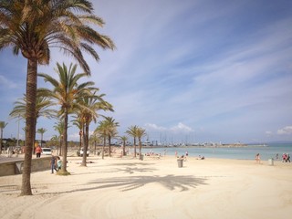Fototapeta premium Mallorca im Frühling