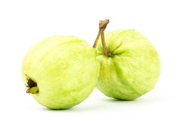 Fresh guava fruit