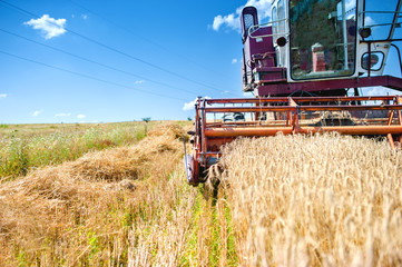 Fototapeta na wymiar industrial vintage harvesting machinery in wheat crops