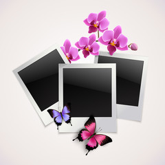 Butterflies photo frames