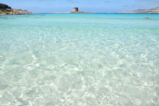 Stintino - La pelosa - Sardegna