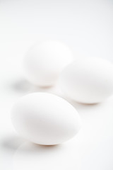 White eggs