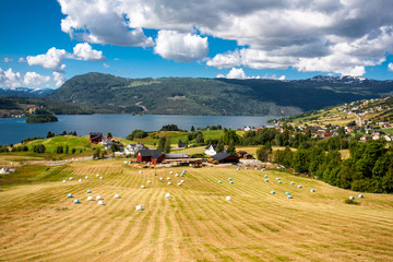 Fjord landscape.