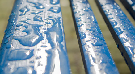 Obraz premium raindrops