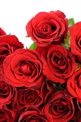 Red roses bouquet on white background