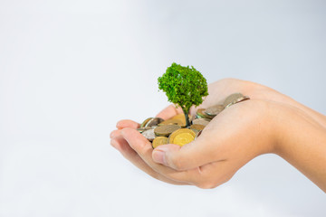 Naklejka na ściany i meble hand full of money and holding a green plant