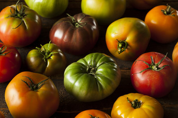 Colorful Organic Heirloom Tomatoes