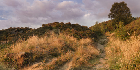 Norland moor at sunset